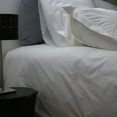 La Cour Soubespin Bed & Breakfast Lille